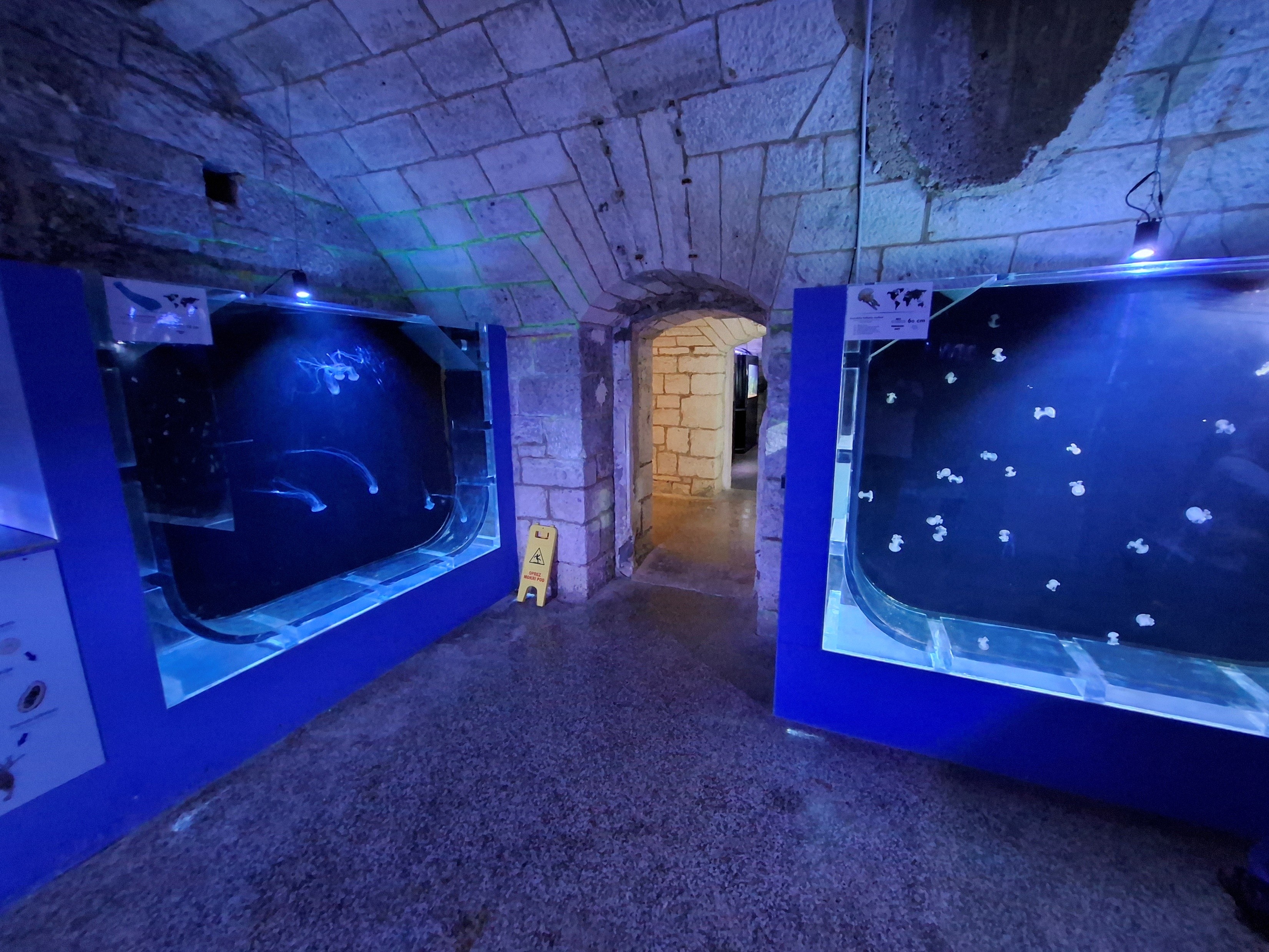 Aquarium - Pula